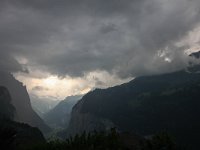 CH, Bern, Lauterbrunnen, Wengen 8, Saxifraga-Bart Vastenhouw